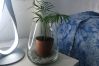 Affitto per camere a Manfredonia - 2 B&B Home Sweet Home – Affitti Brevi Italia Affitto per camere a Manfredonia - 2 B&B Home Sweet Home – Affitti Brevi Italia