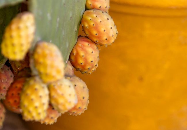 Casa a Ispica - ROMANTIC HOUSE PORTO ULISSE - Affitti Brevi Italia Casa a Ispica - ROMANTIC HOUSE PORTO ULISSE - Affitti Brevi Italia