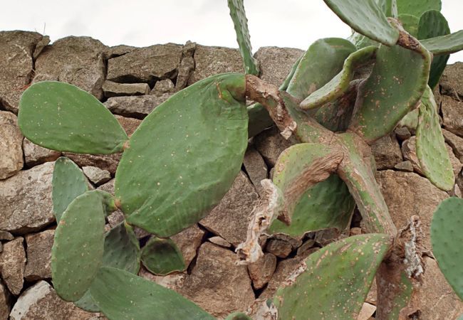 Casa a Ispica - ROMANTIC HOUSE PORTO ULISSE - Affitti Brevi Italia Casa a Ispica - ROMANTIC HOUSE PORTO ULISSE - Affitti Brevi Italia