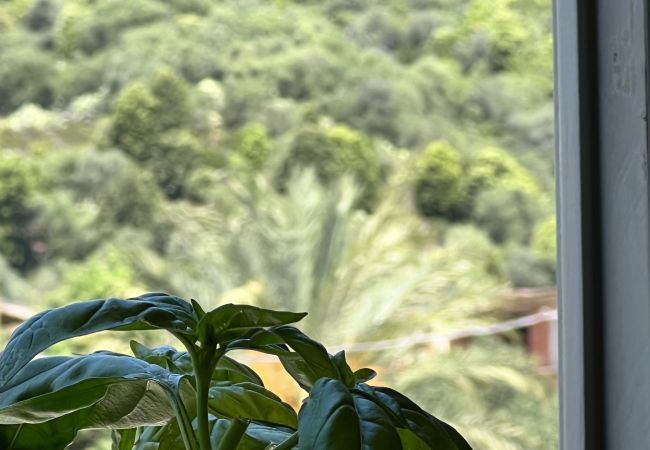 Appartamento a Triei - Sa Domu de Funtanedda - Affitti Brevi Italia Appartamento a Triei - Sa Domu de Funtanedda - Affitti Brevi Italia