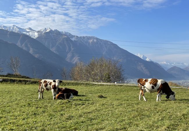 Appartamento a Triangia - Appartamento La Baita Case Contrada Pradella Appartamento a Triangia - Appartamento La Baita Case Contrada Pradella