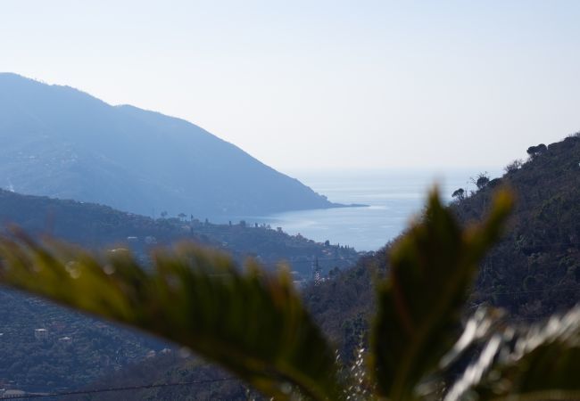 Villa a Recco - VILLA LE MACINE-Affitti Brevi Italia Villa a Recco - VILLA LE MACINE-Affitti Brevi Italia
