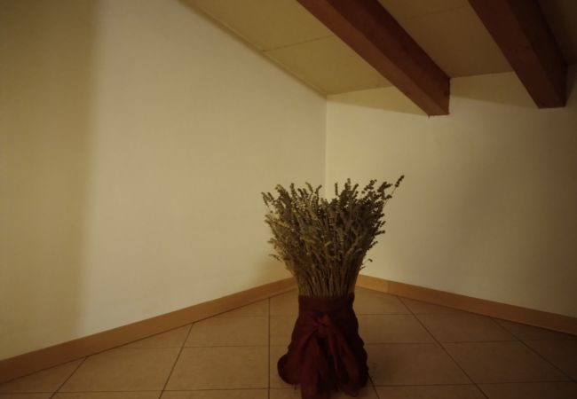 Affitto per camere a Modena - Villa Fabiola - Affitti Brevi Italia Affitto per camere a Modena - Villa Fabiola - Affitti Brevi Italia