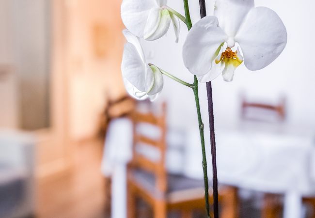 Appartamento a Torino - MYHOUSE INN MARCHE - Affitti Brevi Italia Appartamento a Torino - MYHOUSE INN MARCHE - Affitti Brevi Italia