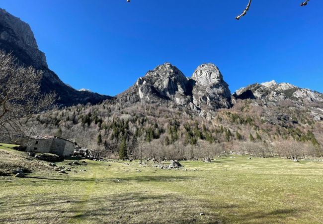 Appartamento La Baita Case Gigiat Affitti Brevi Italia Appartamento a Val Masino - Appartamento La Baita Case Gigiat