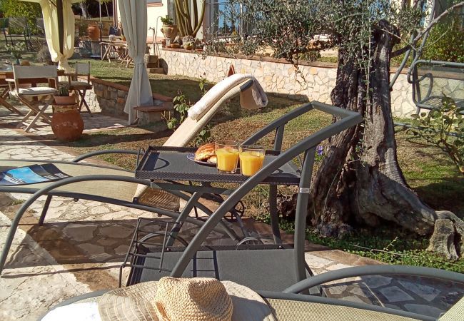 Villa a Massarosa - Villa La Peleca - Affitti Brevi Italia Villa a Massarosa - Villa La Peleca - Affitti Brevi Italia