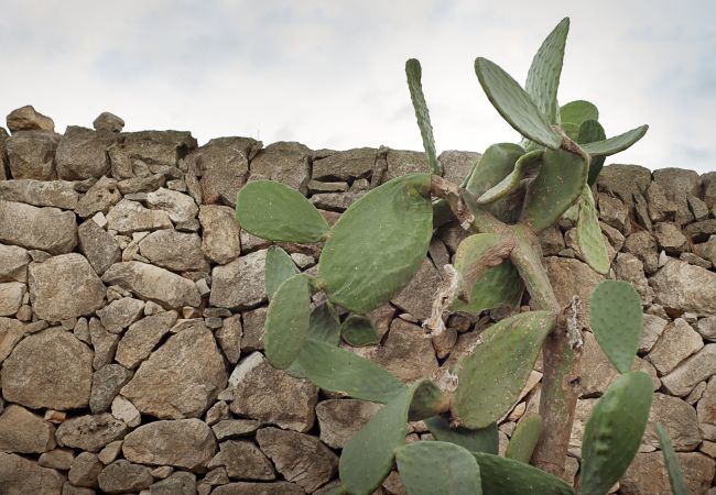 Villa a Noto - VILLA MALENA A NOTO CON PISCINA-AffittiBreviItalia Villa a Noto - VILLA MALENA A NOTO CON PISCINA-AffittiBreviItalia