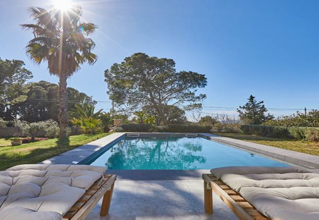 Villa a Noto - VILLA MALENA A NOTO CON PISCINA-AffittiBreviItalia Villa a Noto - VILLA MALENA A NOTO CON PISCINA-AffittiBreviItalia