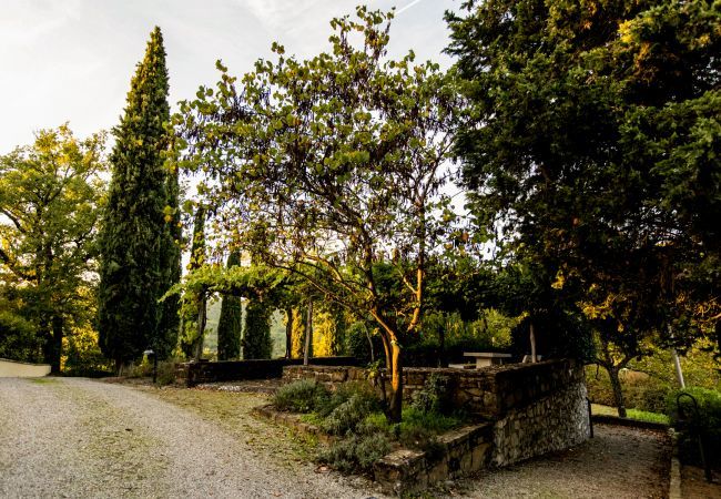 Appartamento a Scarperia - Borghetto Il Poggiolo Mugello Apt. 3 Appartamento a Scarperia - Borghetto Il Poggiolo Mugello Apt. 3