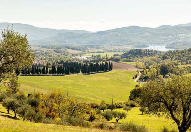 Appartamento a Scarperia - Borghetto Il Poggiolo Mugello Apt. 3 Appartamento a Scarperia - Borghetto Il Poggiolo Mugello Apt. 3
