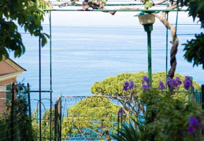 Appartamento a Recco - CHERRY TREE HOUSE-Affitti Brevi Italia Appartamento a Recco - CHERRY TREE HOUSE-Affitti Brevi Italia