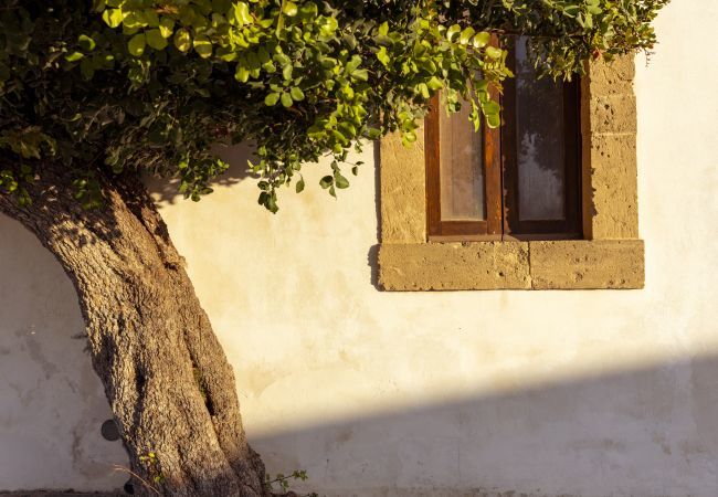 Appartamento a Noto - MOSCATO BOUTIQUE NOTO - Affitti Brevi Italia Appartamento a Noto - MOSCATO BOUTIQUE NOTO - Affitti Brevi Italia