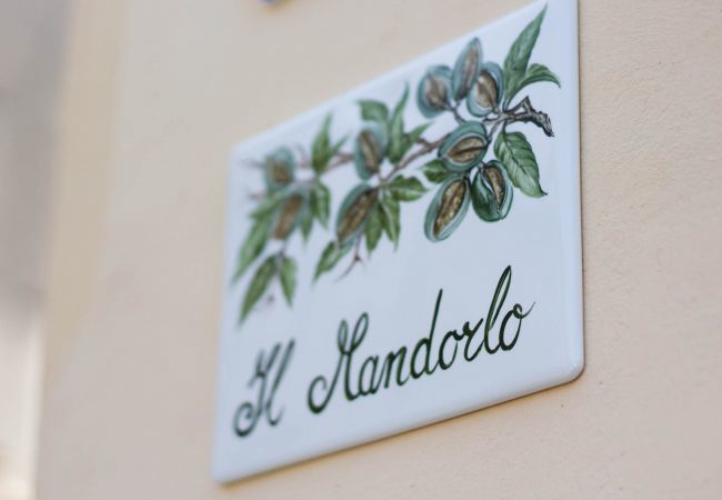 Appartamento a Recco - Appartamento-IL MANDORLO-Affitti Brevi Italia Appartamento a Recco - Appartamento-IL MANDORLO-Affitti Brevi Italia