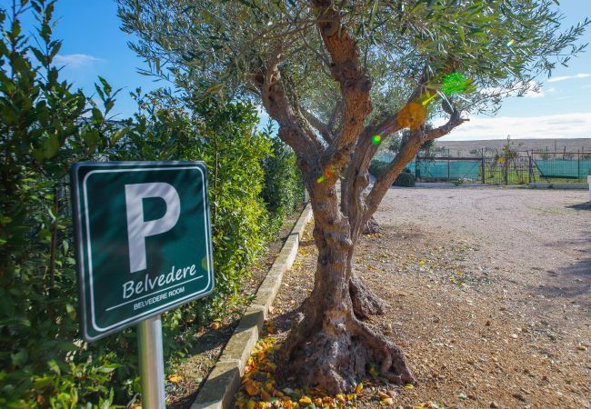 Villetta a Gravina in Puglia - Tenuta Rurale - Belvedere Villetta a Gravina in Puglia - Tenuta Rurale - Belvedere