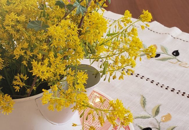 Appartamento a Monte Sant´Angelo - Apartment Santa Chiara - Affitti Brevi Italia Appartamento a Monte Sant´Angelo - Apartment Santa Chiara - Affitti Brevi Italia