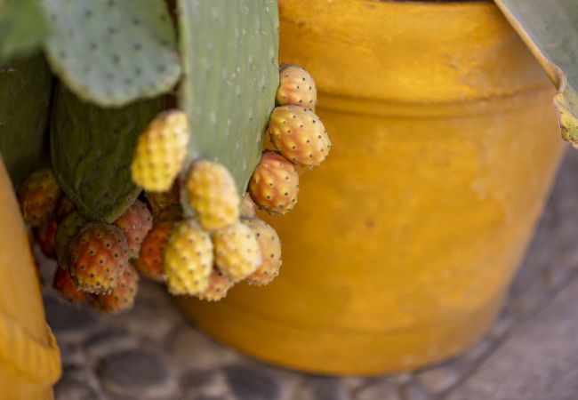 Villa a Noto - SECRET RIAD with pool - Noto Villa a Noto - SECRET RIAD with pool - Noto