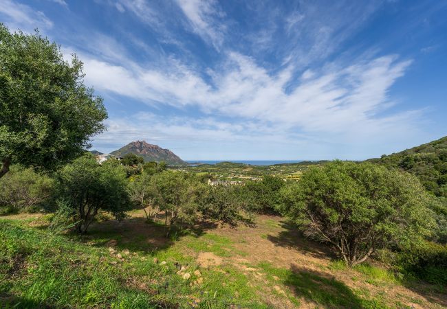 Appartamento a Tertenia - Il Mirto - Affitti Brevi Italia Appartamento a Tertenia - Il Mirto - Affitti Brevi Italia