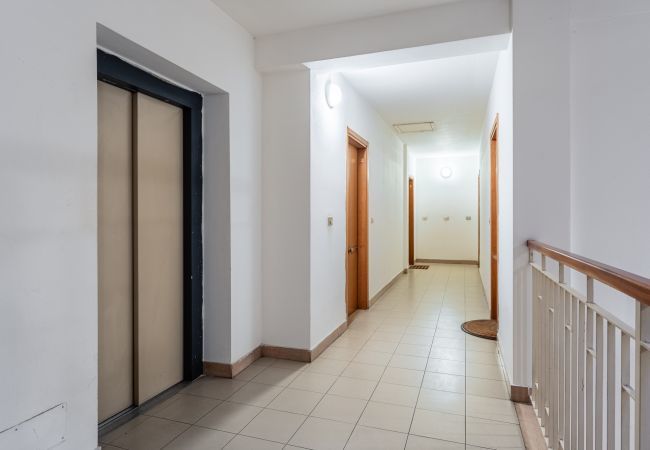 Appartamento a Lucca - San Concordio Grey - Affitti Brevi Italia - Appartamento a Lucca - San Concordio Grey - Affitti Brevi Italia -