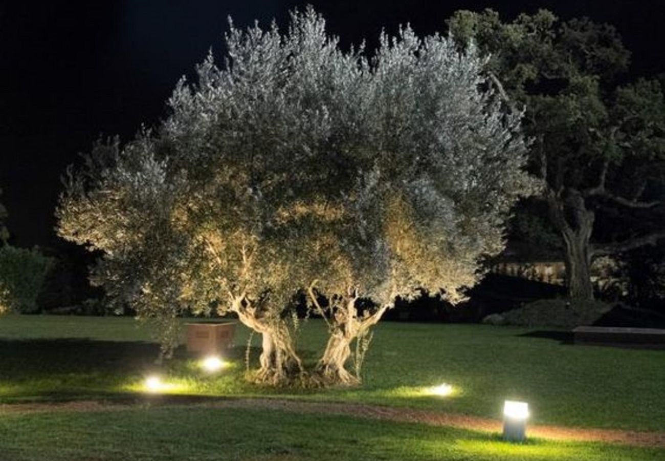 giardino CASA DEI LIMONI con piscina BLU Affitti Brevi Italia Villa a Noto - CASA DEI LIMONI CON PISCINA BLU