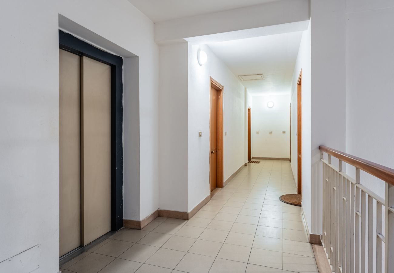 Appartamento a Lucca - San Concordio Grey - Affitti Brevi Italia - Appartamento a Lucca - San Concordio Grey - Affitti Brevi Italia -