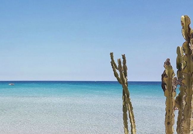 Apartment in Noto - APPARTAMENTO AURISPA CON PISCINA Apartment in Noto - APPARTAMENTO AURISPA CON PISCINA