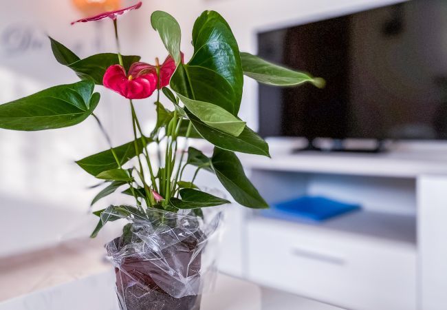 Dining Table for 4 People: Ideal for the Family with Integrated 32 Dining table for 4 people, perfect for the family. Possibility of watching the 32