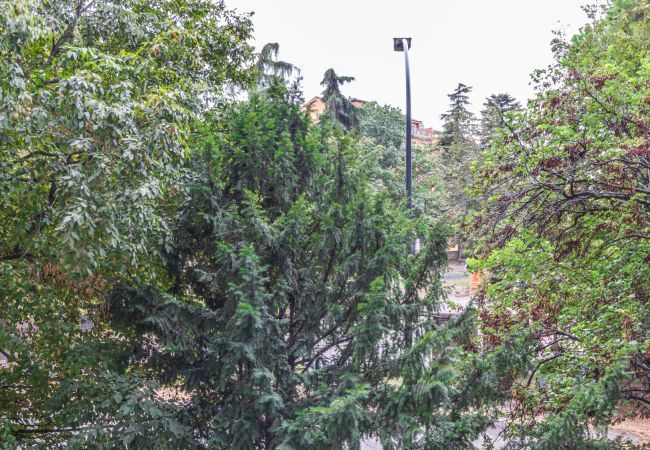 Apartment in Bologna - Olly Flat in Bologna Apartment in Bologna - Olly Flat in Bologna