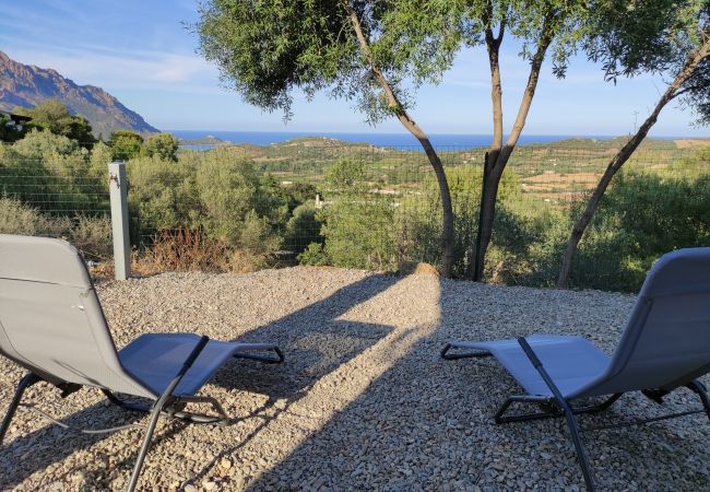 Apartment in Tertenia - Appartamento La Ginestra - Affitti Brevi Italia Apartment in Tertenia - Appartamento La Ginestra - Affitti Brevi Italia