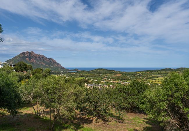 Apartment in Tertenia - Appartamento La Ginestra - Affitti Brevi Italia Apartment in Tertenia - Appartamento La Ginestra - Affitti Brevi Italia