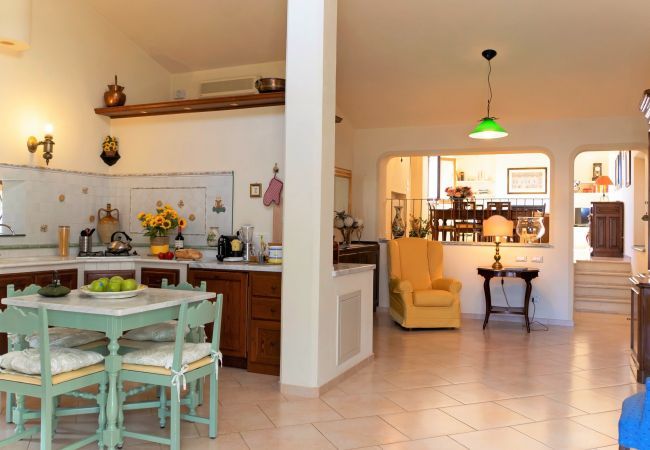 Villa in Massarosa - Villa La Peleca - Affitti Brevi Italia Villa in Massarosa - Villa La Peleca - Affitti Brevi Italia