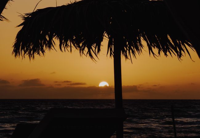 House in Ispica - MAISON BRAVÈ - Affitti Brevi Italia House in Ispica - MAISON BRAVÈ - Affitti Brevi Italia