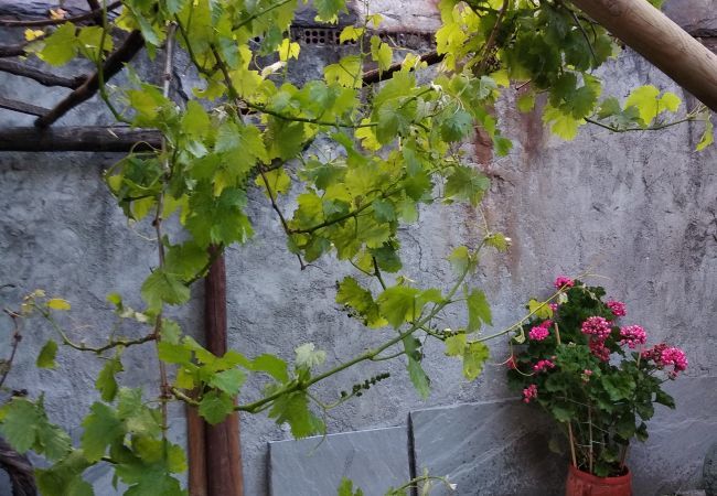 Apartment in Aosta - Aosta Soleil   Il Giardino Apartment in Aosta - Aosta Soleil   Il Giardino