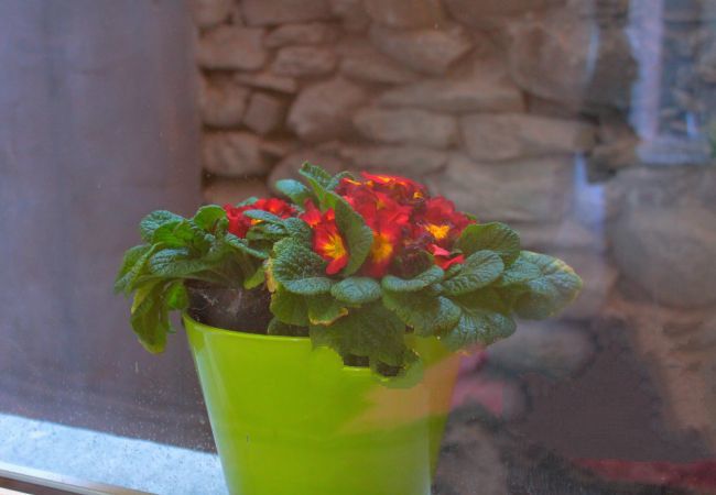 Apartment in Aosta - Aosta Soleil   Il Giardino Apartment in Aosta - Aosta Soleil   Il Giardino