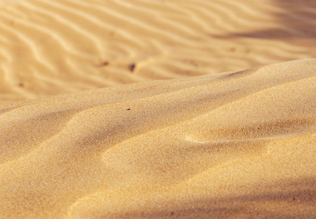 House in Ispica - ROMANTIC HOUSE PORTO ULISSE - Affitti Brevi Italia House in Ispica - ROMANTIC HOUSE PORTO ULISSE - Affitti Brevi Italia