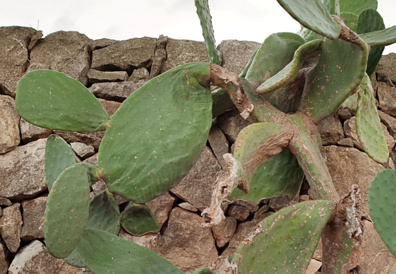 House in Ispica - ROMANTIC HOUSE PORTO ULISSE - Affitti Brevi Italia House in Ispica - ROMANTIC HOUSE PORTO ULISSE - Affitti Brevi Italia