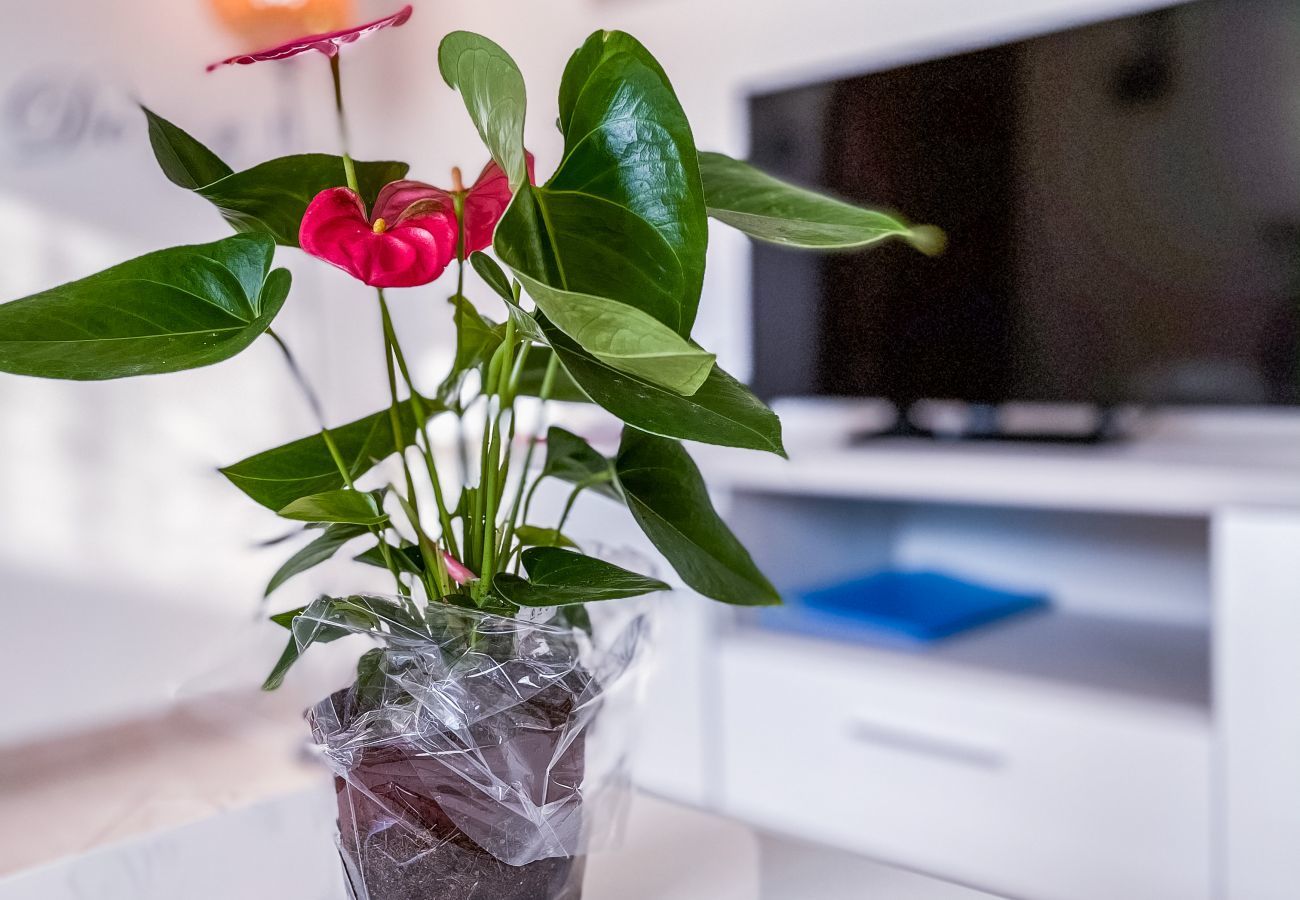 Dining Table for 4 People: Ideal for the Family with Integrated 32 Dining table for 4 people, perfect for the family. Possibility of watching the 32