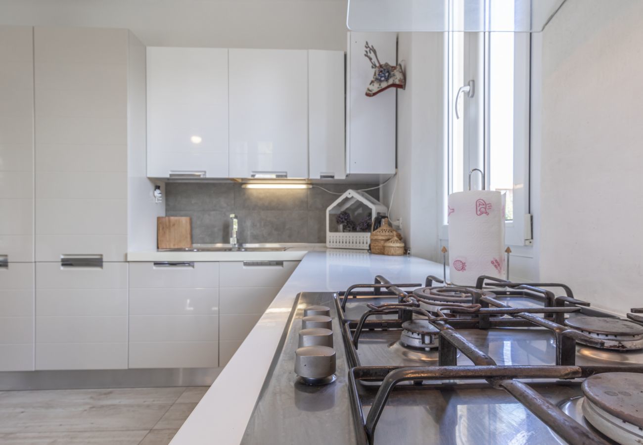 bright and fully equipped kitchen bright and fully equipped kitchen